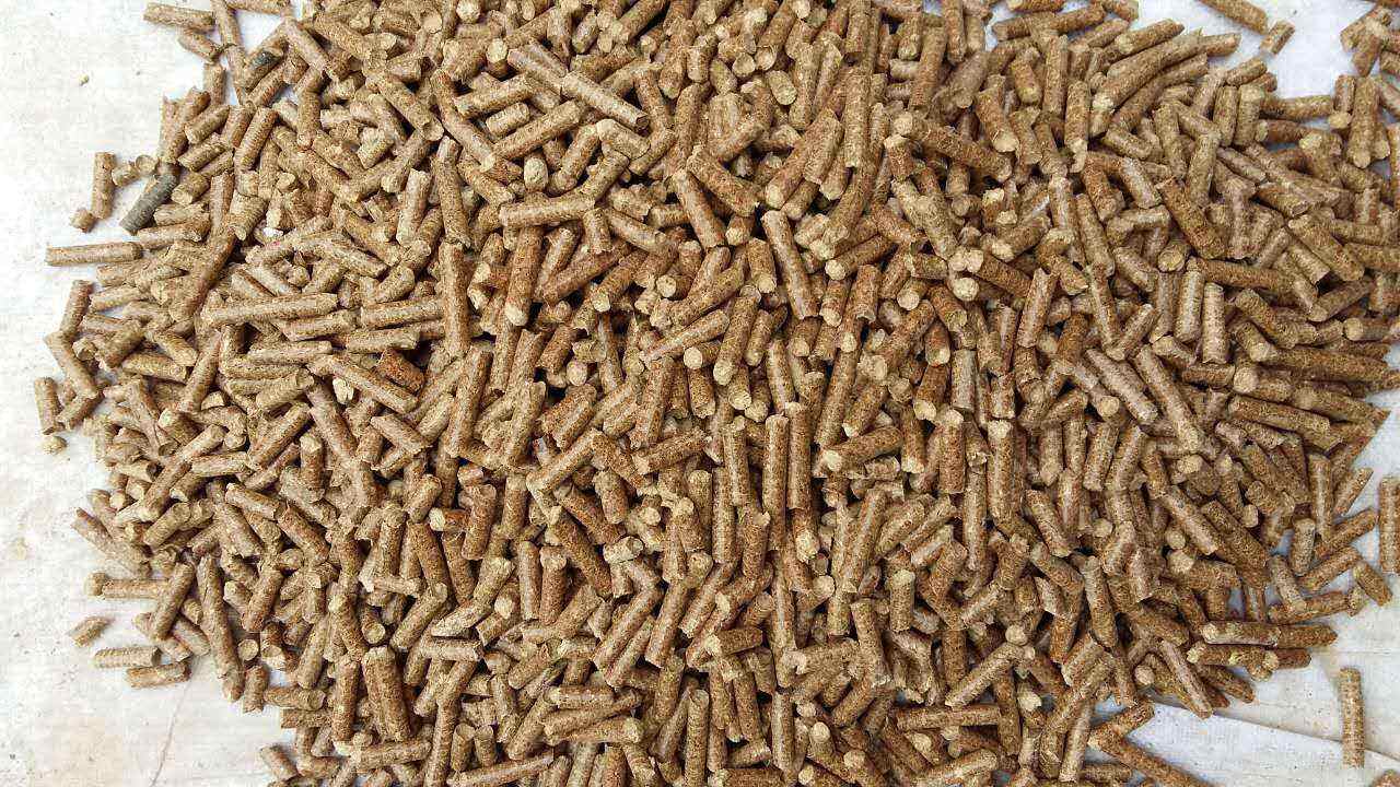 生物質(zhì)導(dǎo)熱油爐的原理跟應(yīng)用你知道多少？